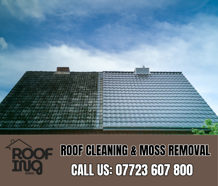 Roof cleaning and moss removal in Saltash